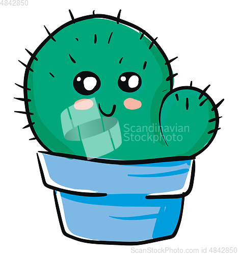 Image of A cute green cactus vector or color illustration