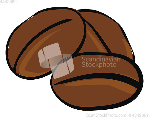 Image of rich coffee bean vector or color illustration