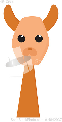 Image of Staring llama vector or color illustration