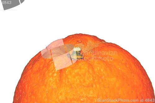 Image of Orange