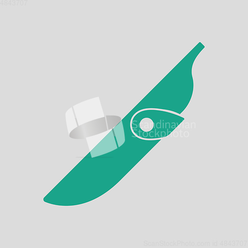 Image of Knife scabbard icon