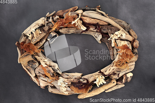 Image of Driftwood and Seaweed Natural Oval Border Frame