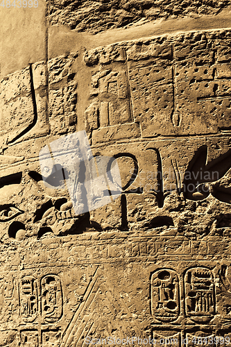 Image of Ancient egyptian hieroglyphs in the Karnak Temple in Luxor