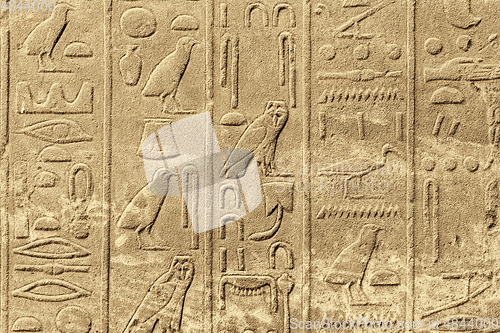 Image of Ancient egyptian hieroglyphs carved on the stone wall