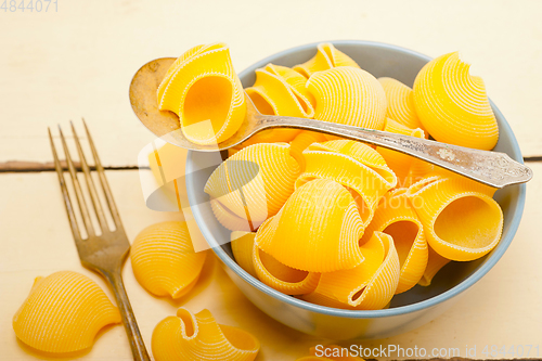 Image of Italian snail lumaconi pasta