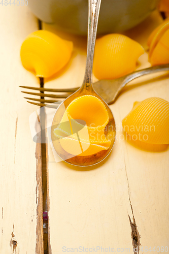 Image of Italian snail lumaconi pasta