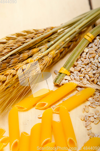 Image of Italian pasta penne with wheat