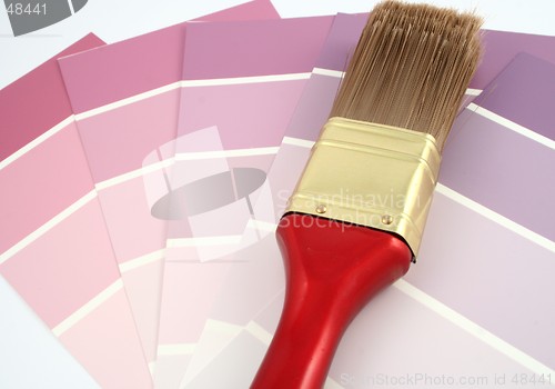 Image of Pink Paint Samples