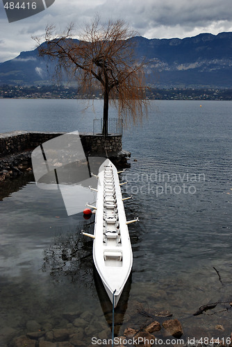 Image of the canoe and the tree