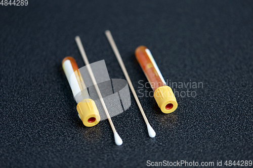 Image of test tubes with blood plasma and cotton swabs