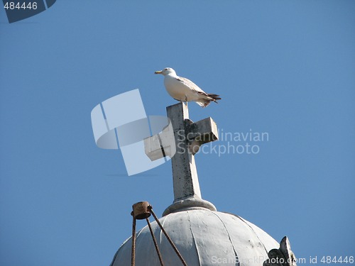 Image of seagull on the cross of greek orthodox church