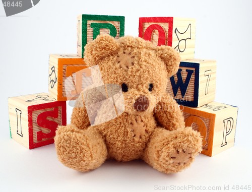 Image of Bear and Blocks