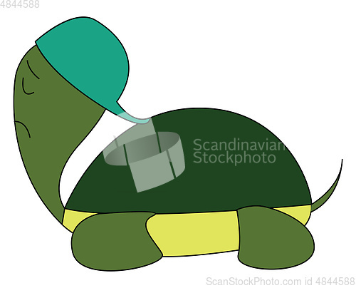 Image of Turtle in cap vector or color illustration