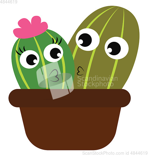 Image of Boy and girl cactus plants in a brown flower pot vector or color