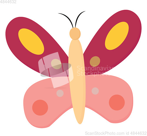 Image of Pink butterfly vector or color illustration
