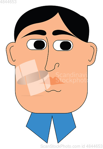 Image of Man portrait vector or color illustration