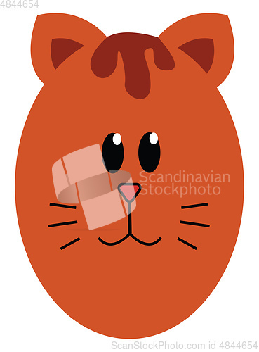 Image of cat character vector or color illustration