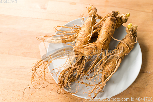 Image of Korean fresh Ginseng