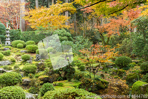 Image of Japanese temple in autumn 