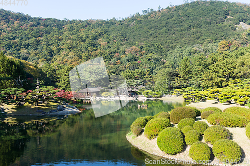 Image of Beautiful Japanese garden