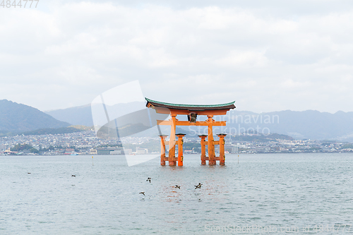 Image of Floating torii gate of Itsukushima Shrine in Itsukushima island