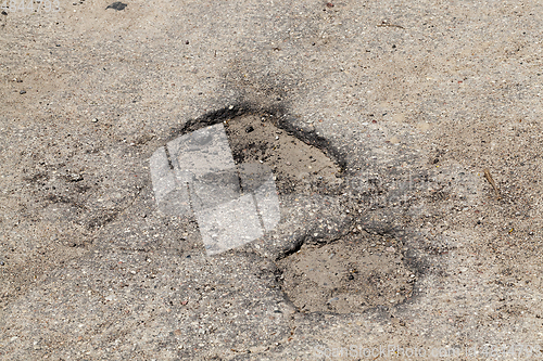 Image of two potholes