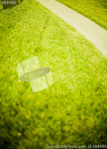 Image of green grass path