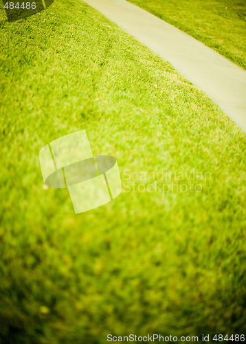 Image of green grass path