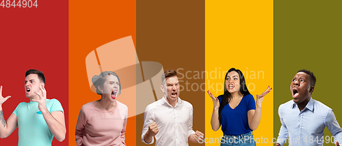 Image of Portrait of group of emotional people on multicolored background