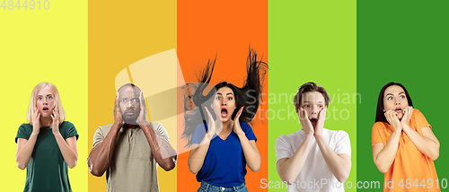 Image of Portrait of group of emotional people on multicolored background