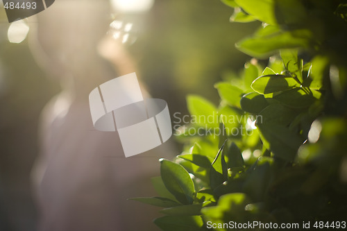 Image of woman and light