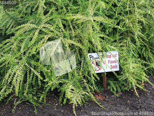 Image of no walking on flower bed sign