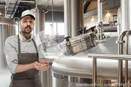 Image of Professional brewer on his own craft alcohol production