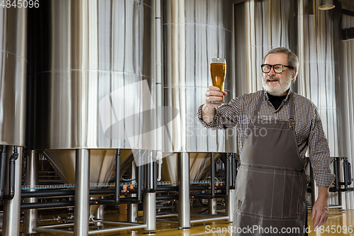 Image of Professional brewer on his own craft alcohol production