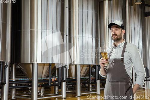 Image of Professional brewer on his own craft alcohol production