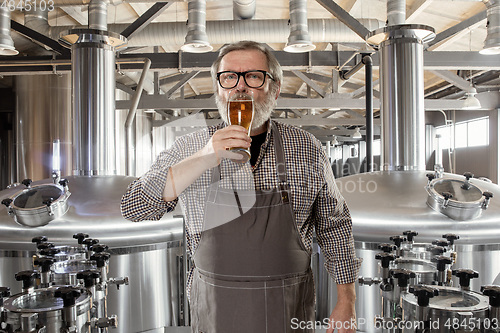 Image of Professional brewer on his own craft alcohol production