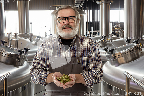 Image of Professional brewer on his own craft alcohol production