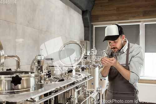 Image of Professional brewer on his own craft alcohol production