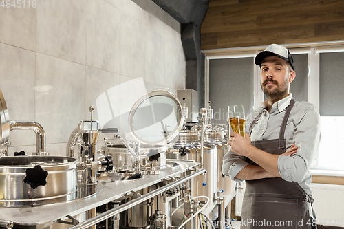 Image of Professional brewer on his own craft alcohol production