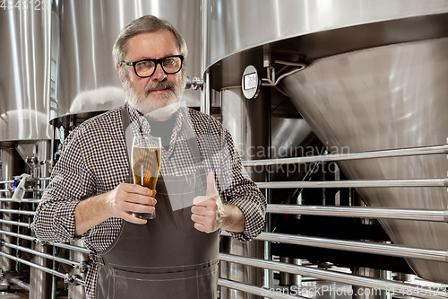 Image of Professional brewer on his own craft alcohol production