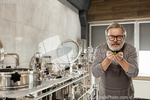 Image of Professional brewer on his own craft alcohol production