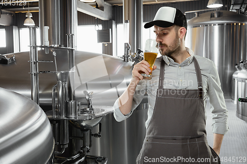 Image of Professional brewer on his own craft alcohol production