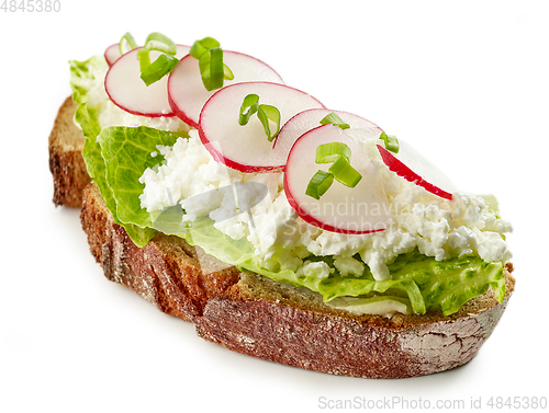 Image of sandwich with cottage cheese and radish