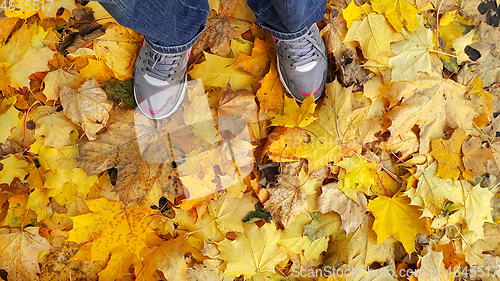 Image of Feet standing on fallen autumn leaves