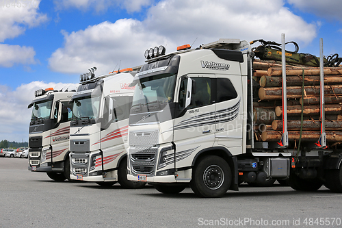 Image of Three Volvo FH Logging Trucks Parked