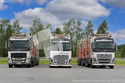 Image of Three Volvo FH Logging Trucks 