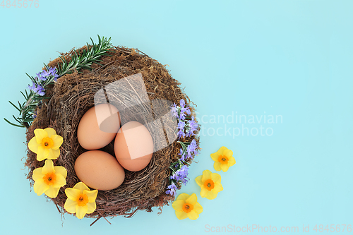 Image of Fresh Eggs in a Bird Nest with Spring Flowers