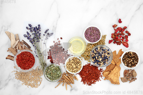 Image of Herbs and Flowers for Herbal Plant Medicine