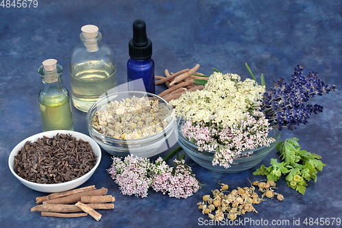 Image of Natural Apothecary Herbal Plant Medicine