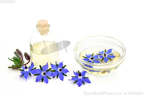 Image of Borage Herb Essential Oil Preparation